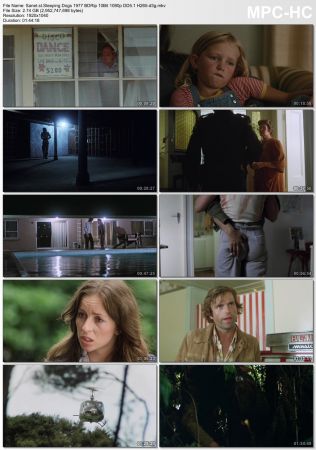 Sleeping Dogs 1977 BDRip 10Bit 1080p DD5.1 H265-d3g