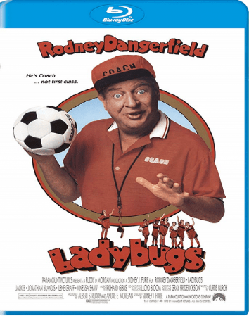 Ladybugs 1992 BRRip XviD MP3-XVID