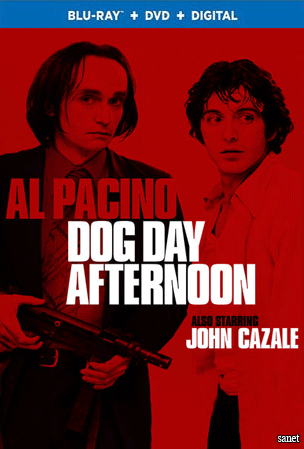 Dog Day Afternoon 1975 1080p BluRay H264 AAC-RARBG