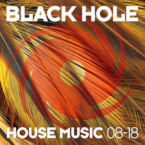 VA - Black Hole House Music 08-18 (2018) MP3