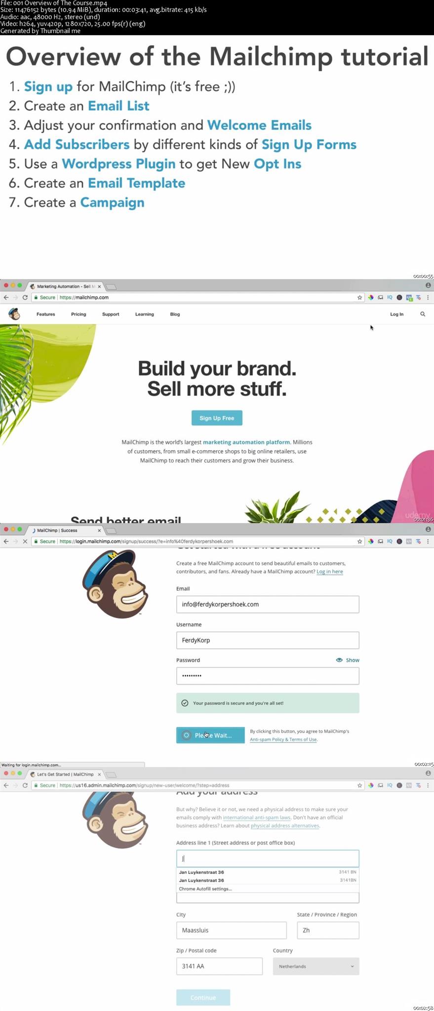 how to download a template as a pdf on mailchimp