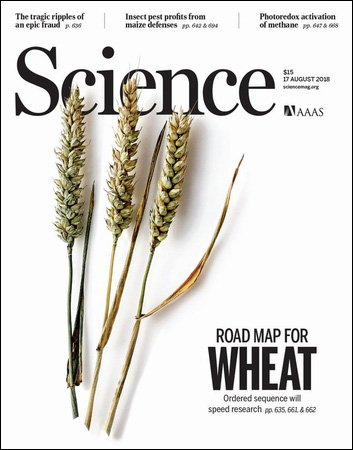 Science - 17 August 2018