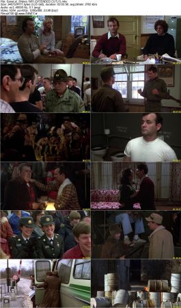 Stripes 1981 EXTENDED CUT 720p BRRip x264 AC3 DiVERSiTY