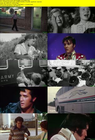 This Is Elvis 1981 WEBRip x264-ION10