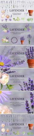 Lavender clipart, Isolated Lavender - 2795130