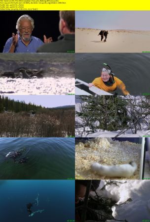 CBC - The Nature of Things: The Wild Canadian Year (2017) 720p AAC H264 MVGroup