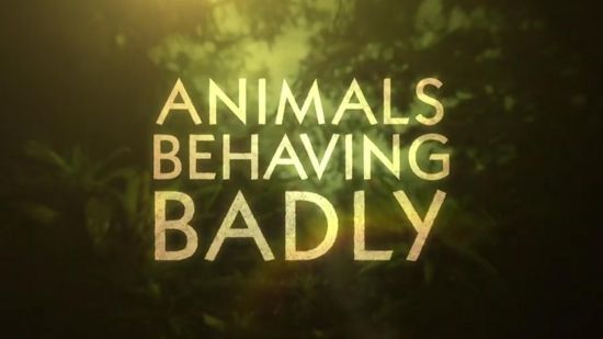 BBC - Animals Behaving Badly: Survival (2018) 720p HDTV x264-TVC