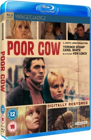 Poor Cow 1967 BRRip XviD MP3-XVID