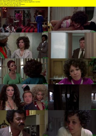 Willie Dynamite 1974 BRRip XviD MP3-XVID