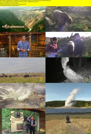 Nat. Geo. - Yellowstone Live: Series 1 (2018) 720p HDTV x264 AAC MVGroup
