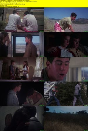 Summer of 42 1971 720p BluRay x264-x0r