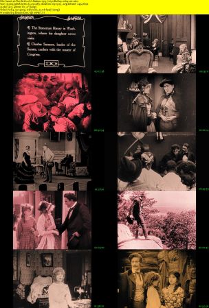 The Birth of A Nation 1915 720p BluRay x264-x0r