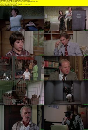 The Shaggy D.A. 1976 WEBRip x264-ION10