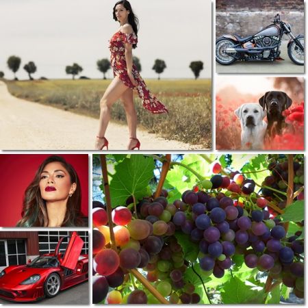 Beautiful Wallpapers Pack 1183