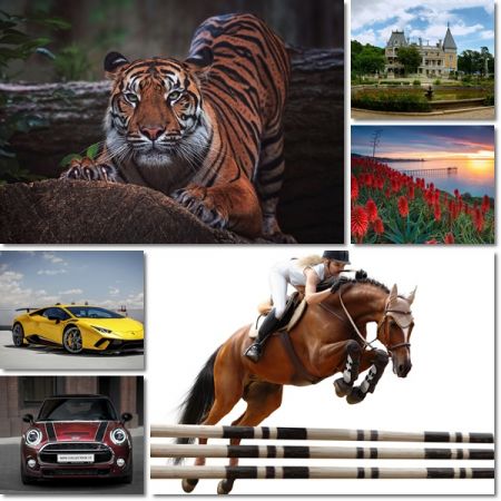Beautiful Wallpapers Pack 1177