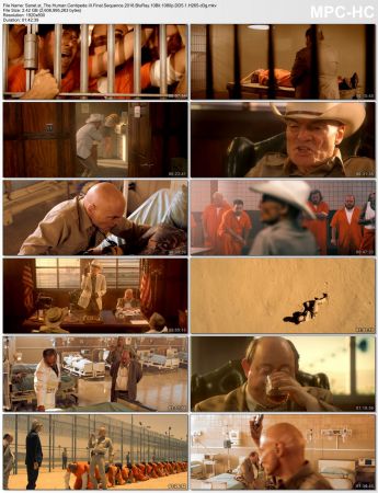 The Human Centipede trilogy BluRay 10Bit 1080p DD5.1 H265-d3g