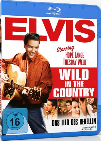 Wild in the Country 1961 BRRip XviD MP3-XVID
