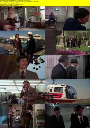 The Stone Killer 1973 BRRip XviD MP3-XVID