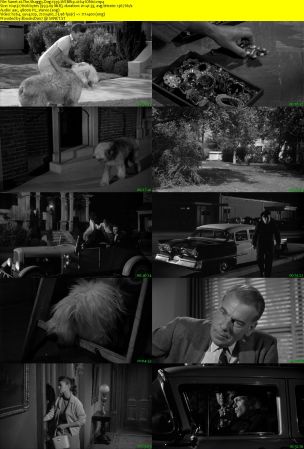 The Shaggy Dog 1959 WEBRip x264-ION10