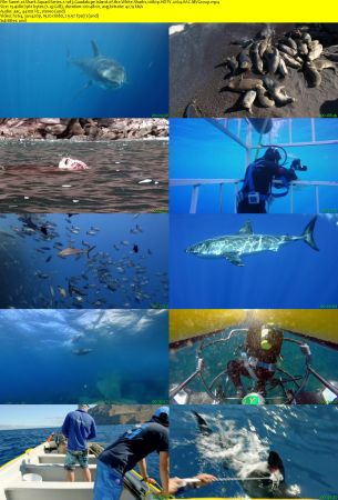 Smithsonian Earth - Shark Squad: Series 1 (2017) 1080p HDTV x264 AAC MVGroup