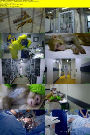 BBC - The Monkey Lab 2017 720p HDTV X264-CREED