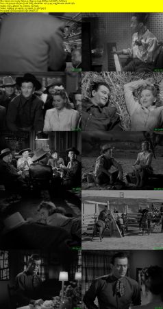 A Lady Takes a Chance 1943 BRRip XviD MP3-XVID