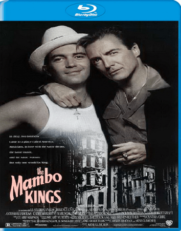 The Mambo Kings 1992 BRRip XviD MP3-XVID