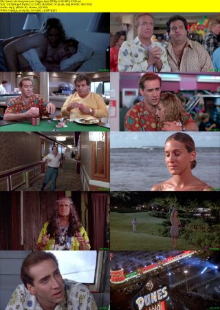 Honeymoon in Vegas 1992 BRRip XviD MP3-XVID