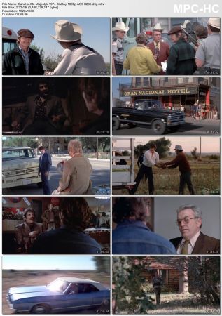 Mr. Majestyk 1974 BluRay 1080p AC3 H265-d3g