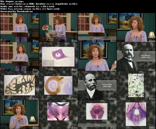 Understanding the Brain (The Great Courses)