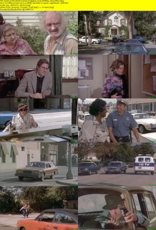 The North Avenue Irregulars 1979 WEBRip x264-ION10