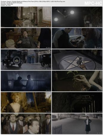 Fantastic Beasts and Where to Find Them 2016 2160p HDR 5.1 x265 10bit PhunPsyz