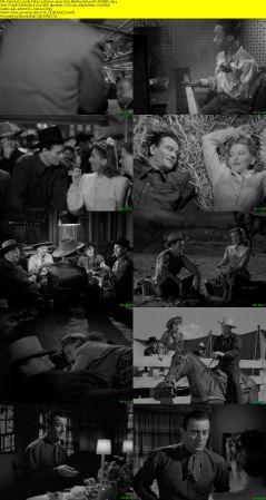 A Lady Takes a Chance 1943 720p BluRay H264 AAC-RARBG