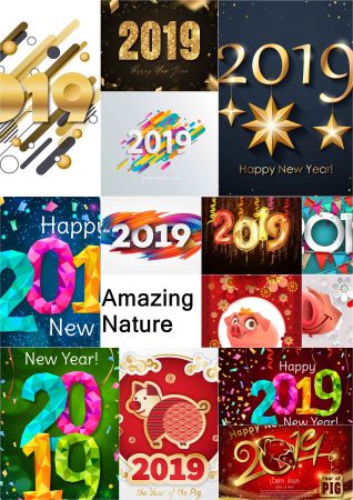2019 New Year Festive Inscriptions Decorative Design