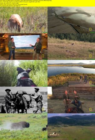 Nat. Geo. - Yellowstone Live: Series 1 (2018) 720p HDTV x264 AAC MVGroup
