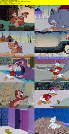 Collection of Shorts 1936-2010 1080p BluRay x264-DON