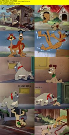Collection of Shorts 1936-2010 1080p BluRay x264-DON