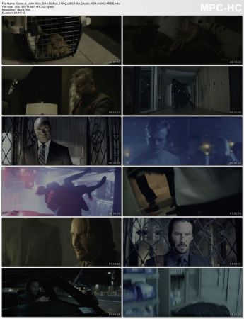 John Wick 2014 BluRay 2160p x265 10bit 2Audio HDR mUHD-FRDS