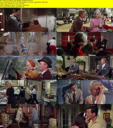 Harlow 1965 BRRip XviD MP3-XVID
