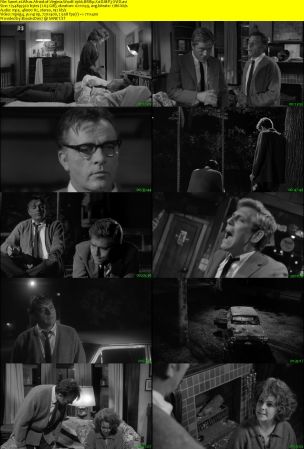 Whos Afraid of Virginia Woolf 1966 BRRip XviD MP3-XVID