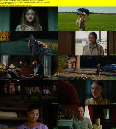 Secret Life Of Bees 2008 1080p Bluray x264-1920