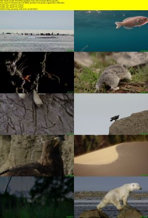 CBC - The Nature of Things: The Wild Canadian Year (2017) 720p AAC H264 MVGroup