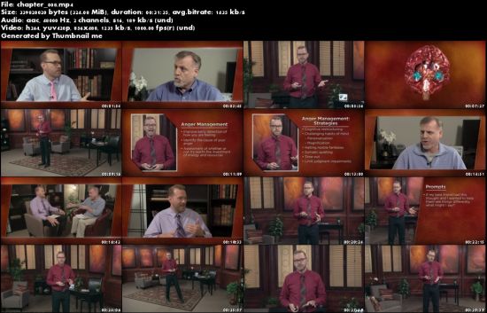 Cognitive Behavioral Therapy: Techniques for Retraining Your Brain (The Great Courses)