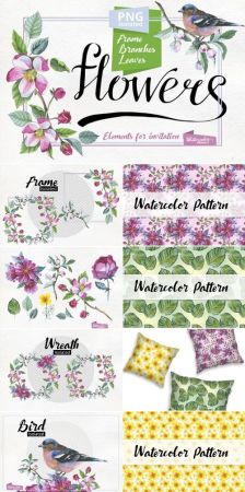 Apple blossom PNG flowers watercolor - 99811