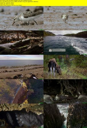 CBC - The Nature of Things: The Wild Canadian Year (2017) 720p AAC H264 MVGroup