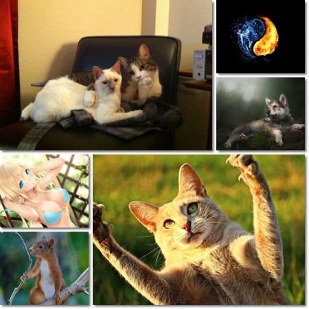 Picture Wallpaper Pack 1181