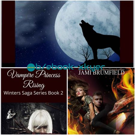 Winters Family Saga series by Jami Brumfield