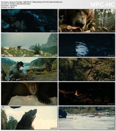 The Bear 1988 HEVC 1080p BluRay DTS-HD x265-LEGi0N