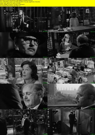 The Pawnbroker 1964 BRRip XviD MP3-XVID
