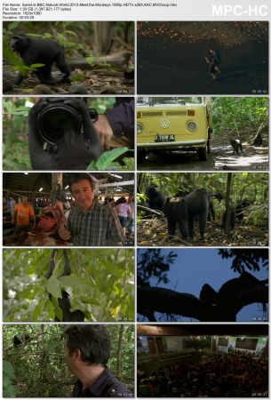 BBC Natural World - Meet the Monkeys (2013) 1080p HDTV x265 AAC MVGroup